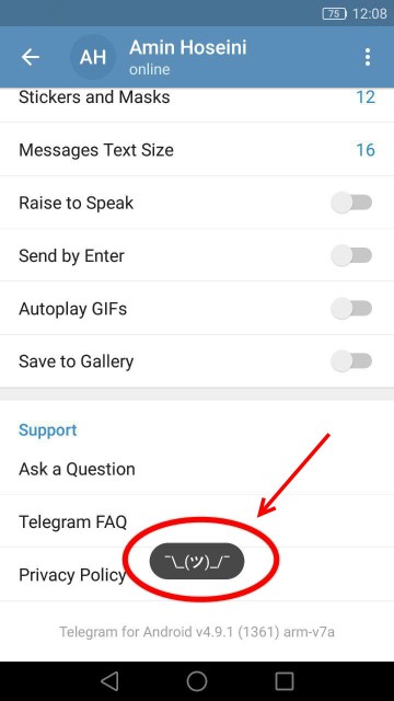  تنظیمات مخفی تلگرام 4